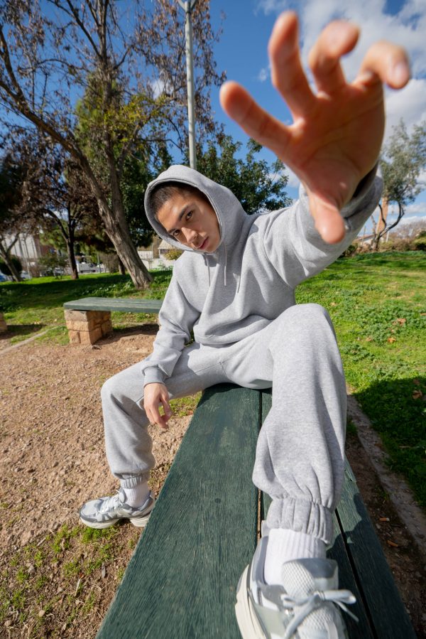 Phoenix Hoodie Light Gray